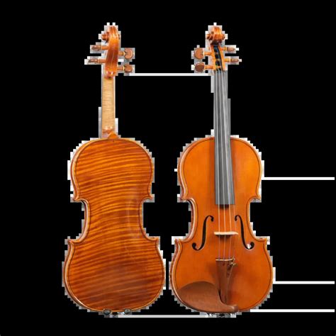 Italian String Instrument 的图像结果