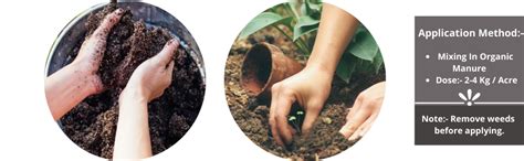 Utkarsh Mycorrhiza with 100 IP/gm Bio Fertilizers for Healthy Plants ...