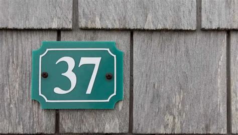 Open 37 File 的图像结果