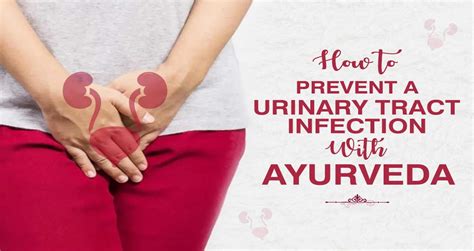 How to prevent a urinary tract infection with Ayurveda | London Daily News