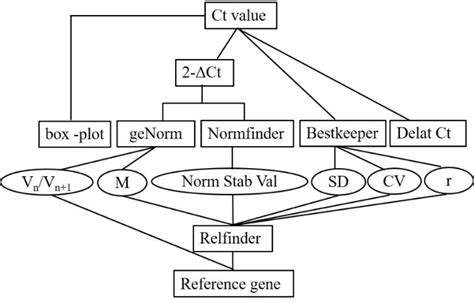 Data Analysis 的图像结果