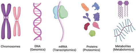 Acute Respiratory Distress Syndrome; A Review of Recent Updates and a ...
