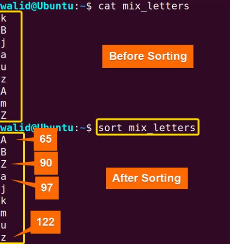 Sort Command Tutorial 的图像结果