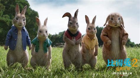 [比得兔2：逃跑计划].Peter.Rabbit.2.The.Runaway.2021.BluRay.1080p.x265.10bit.DTS ...