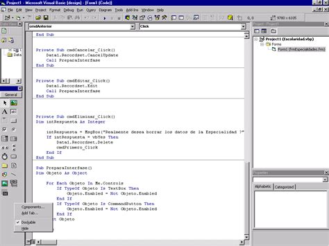 Image result for Visual Basic Access