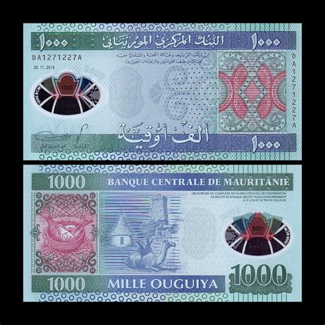 Polymer Banknotes for Sale | Collectible Polymer Currency Notes