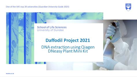 Image result for DNA Extraction QIAGEN Protocol