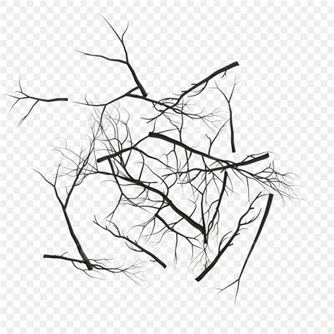 Foliage Plant PNG Picture, Plant Dry Bush Foliage, Plant Drawing, Bush ...