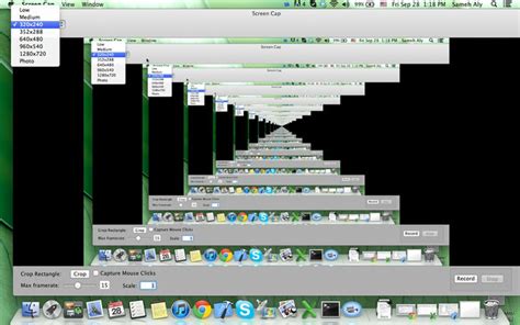 Image result for Screencap Buttons