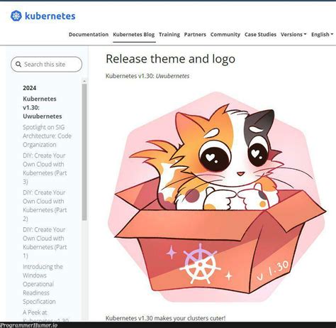 Image result for Python Virtual Enviroment Meme