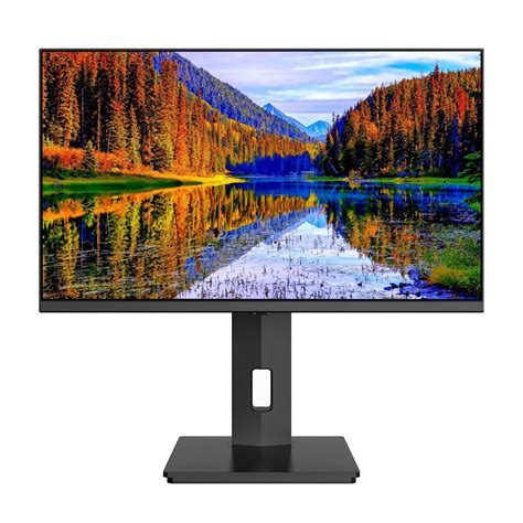 Flat Screen Monitor 的图像结果