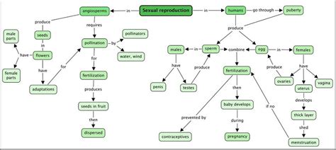 Mindmap — lesson. Science State Board, Class 10.