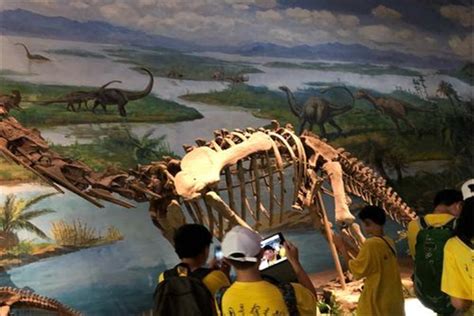 北方龙：辽宁的巨型食草恐龙（化石首次发现于中国辽宁）_探秘志