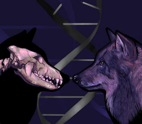 Are Dogs Descended From Wolves