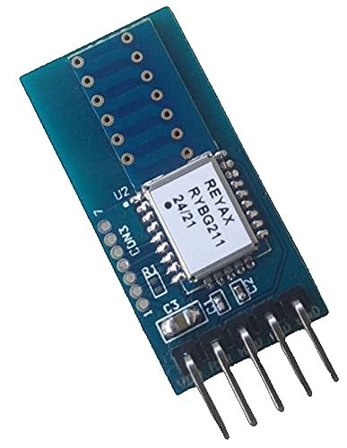 Reyaxrybg211 Lite 2 4ghz Ble 5 1 High Power Long | Desertcart INDIA