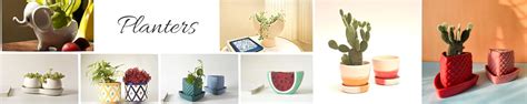 Amazon.in: Local Kala®: Planters