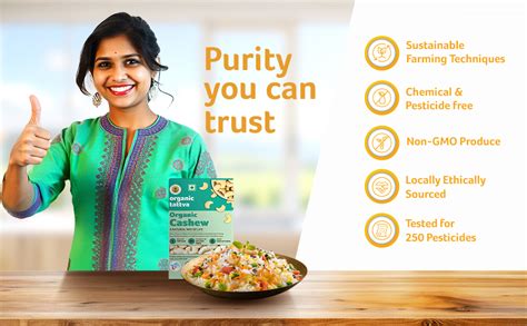 Organic Tattva, Organic Cashews(Kaju) 250g | Rich in Dietary Fiber and ...