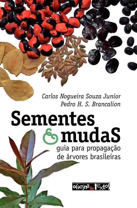 Buy Sementes e Mudas. Guia Para Propagação de Árvores Brasileira Online ...