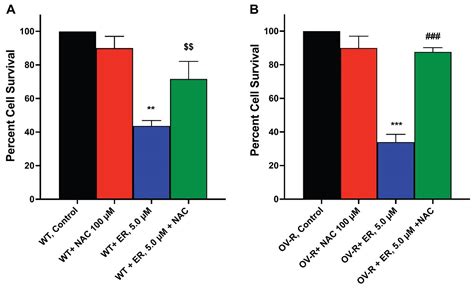 Mechanisms of Cell Death Induced by Erastin in Human Ovarian Tumor Cells