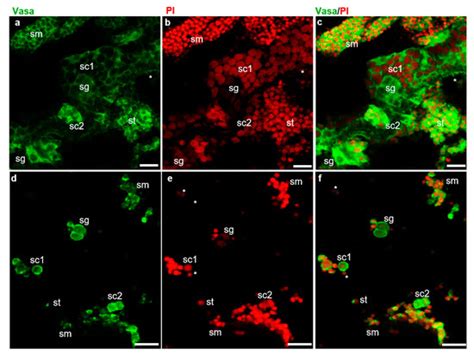 Biology | May 2022 - Browse Articles