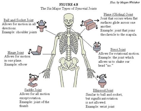 Joint Pain advice, Management & Treatment