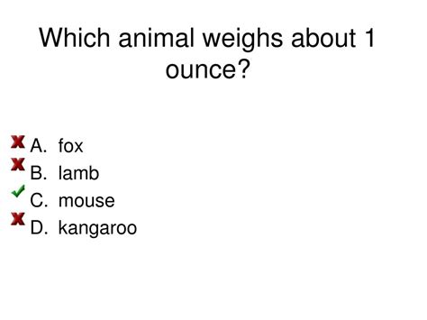 Image result for 1 Topic 18 Topics