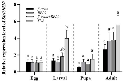 Selection and Validation of Stable Reference Genes for RT-qPCR in ...