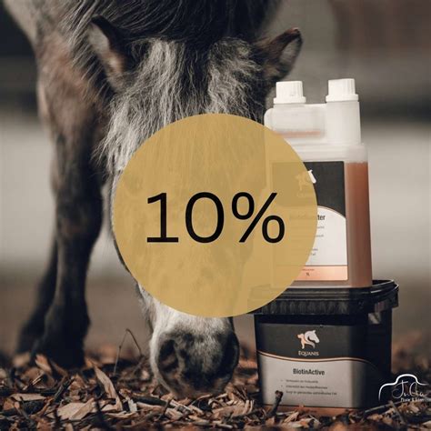 Bewegendes Pferd | Bausteine