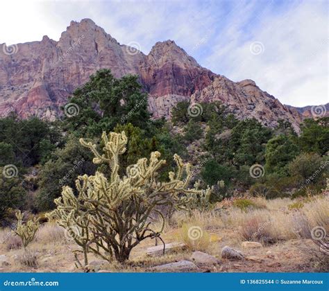 First Creek Trail, Red Rock Conservation Area, Nevada, USA Stock Photo ...