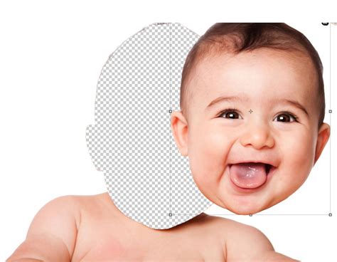 Image result for Lasso Tools Tutorial