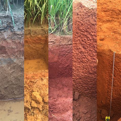 Global Carbon Modeling - Soil Carbon Information Hub