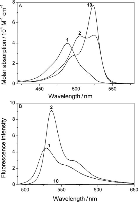 Image result for Absorption vs Fluorescence Spectroscopy