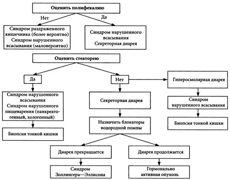 Понос (диарея). Диагноз, дифференциальный диагноз. Лечение. Лекция для ...