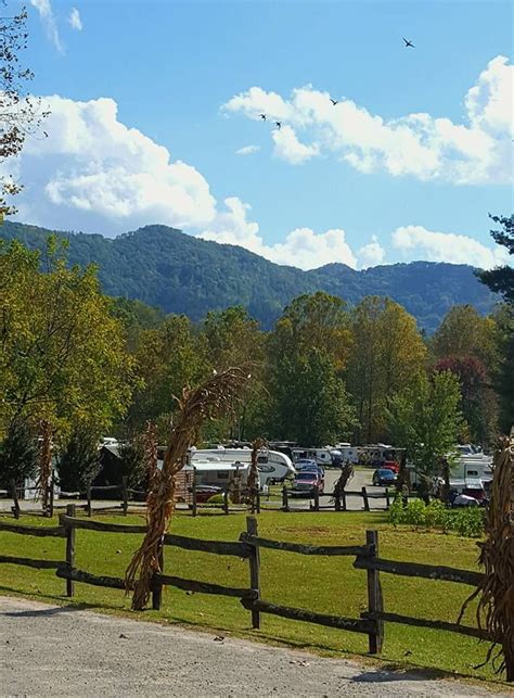Campground Near Waynesville NC: Nature Escape & Fun