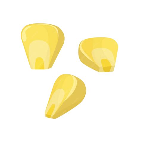 Corn kernels 3 pieces in cartoon style organic food yellow corn seeds ...