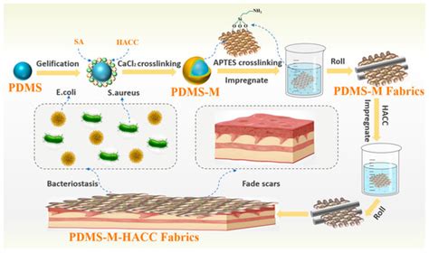 Functional Compression Fabrics with Dual Scar-Suppressing and ...