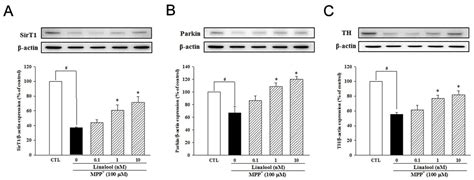 Linalool, a Fragrance Compound in Plants, Protects Dopaminergic Neurons ...
