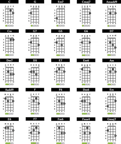 Image result for Learn 5 String Banjo