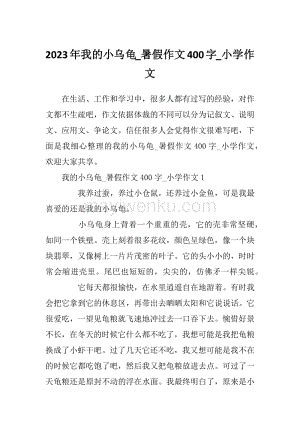 我的动物朋友乌龟作文400字-云作文