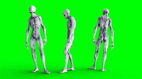 Image result for Alien Building Greenscreen