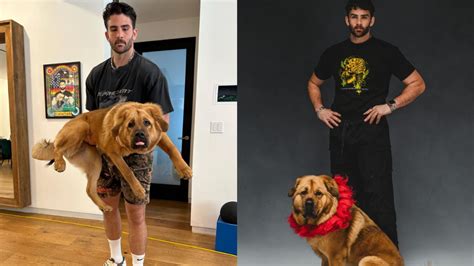 HasanAbi shock collar controversy: List of streamers who have defended and criticized him