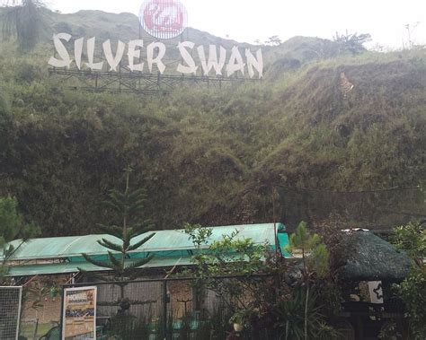 THE 10 BEST Philippines Shooting Ranges (2026) - with Reviews