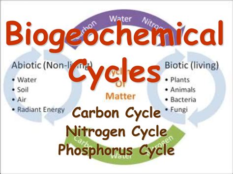 4 Biogeochemical Cycles