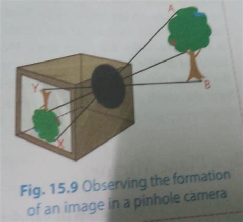 explain the working of a pinhole camera with labelled diagram - Brainly.in
