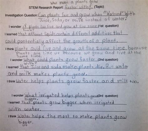 Image result for Stem Project Research Paper Example