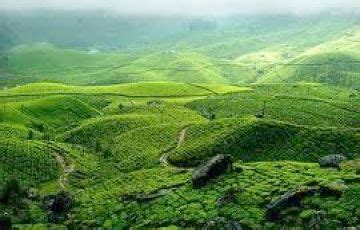 4 Days 3 Nights Kandy Forest Vacation Package | Colombo, Kandy, Nuwara ...