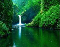 Free Background by Beautiful Free Wallpapers Wallpaper Cave Free Background