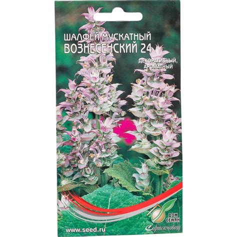 Шалфей Дом Семян мускатный Вознесенский 24 24110 - выгодная цена ...