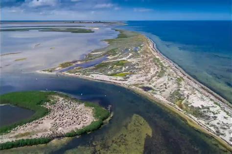 Чёрное море: описание водоёма, площадь, глубина, флора и фауна, климат ...