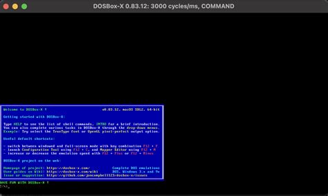 How to Make DOSBox Full Screen 的图像结果